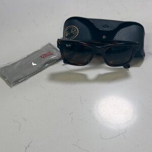 Ray-Ban Brown Sunglasses with Black Case
Mr Burbank